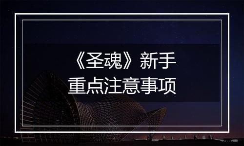 《圣魂》新手重点注意事项