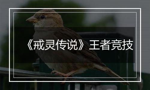 《戒灵传说》王者竞技