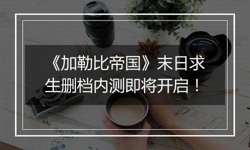 《加勒比帝国》末日求生删档内测即将开启！