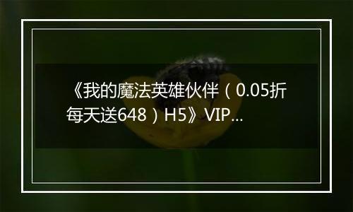 《我的魔法英雄伙伴（0.05折每天送648）H5》VIP等级表