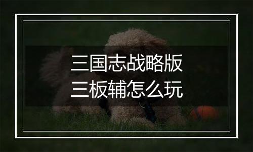 三国志战略版三板辅怎么玩