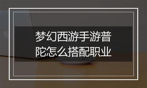 梦幻西游手游普陀怎么搭配职业