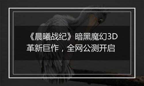 《晨曦战纪》暗黑魔幻3D革新巨作，全网公测开启
