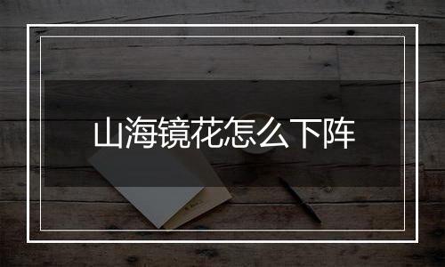 山海镜花怎么下阵