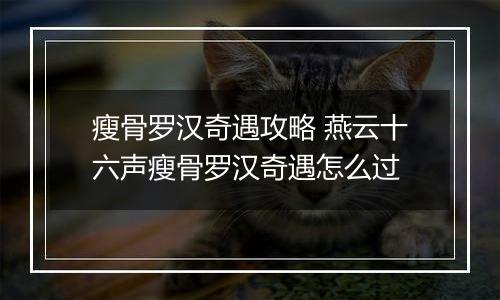 瘦骨罗汉奇遇攻略 燕云十六声瘦骨罗汉奇遇怎么过