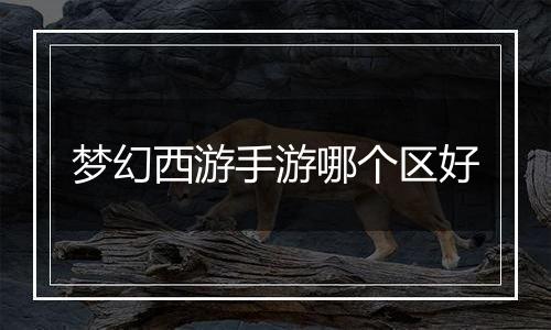 梦幻西游手游哪个区好