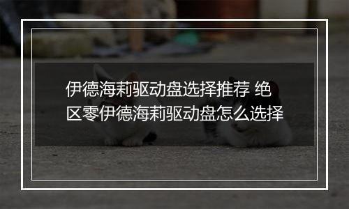 伊德海莉驱动盘选择推荐 绝区零伊德海莉驱动盘怎么选择