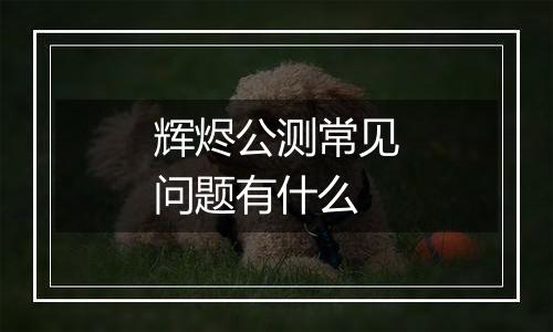 辉烬公测常见问题有什么