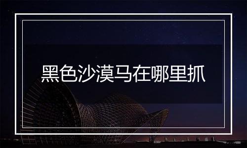 黑色沙漠马在哪里抓