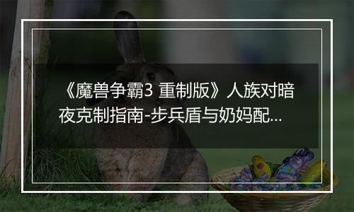 《魔兽争霸3 重制版》人族对暗夜克制指南-步兵盾与奶妈配合详解