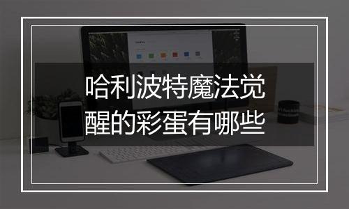 哈利波特魔法觉醒的彩蛋有哪些