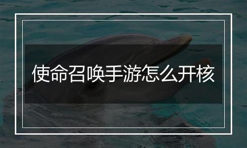 使命召唤手游怎么开核