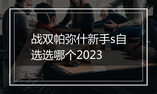 战双帕弥什新手s自选选哪个2023