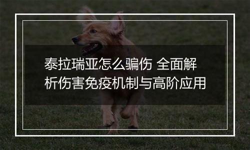 泰拉瑞亚怎么骗伤 全面解析伤害免疫机制与高阶应用