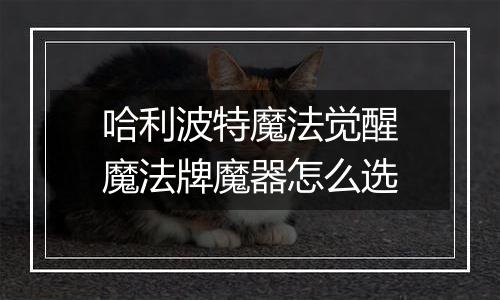 哈利波特魔法觉醒魔法牌魔器怎么选