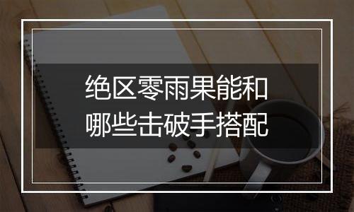 绝区零雨果能和哪些击破手搭配