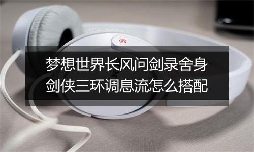 梦想世界长风问剑录舍身剑侠三环调息流怎么搭配