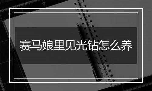 赛马娘里见光钻怎么养