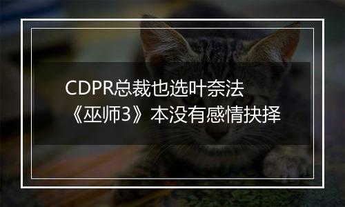 CDPR总裁也选叶奈法 《巫师3》本没有感情抉择