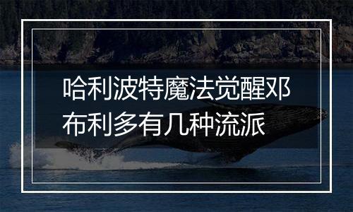 哈利波特魔法觉醒邓布利多有几种流派