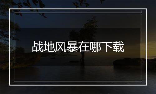 战地风暴在哪下载