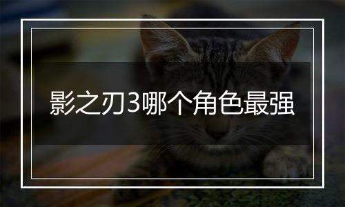 影之刃3哪个角色最强