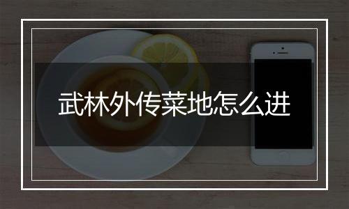 武林外传菜地怎么进