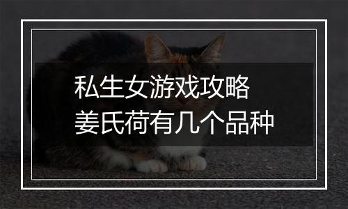 私生女游戏攻略  姜氏荷有几个品种