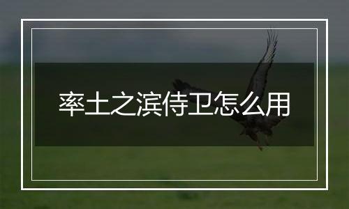 率土之滨侍卫怎么用