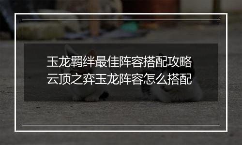 玉龙羁绊最佳阵容搭配攻略 云顶之弈玉龙阵容怎么搭配