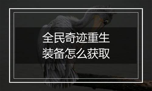 全民奇迹重生装备怎么获取