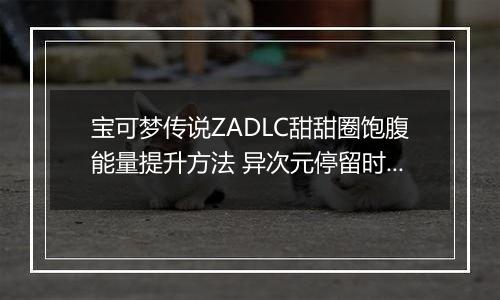宝可梦传说ZADLC甜甜圈饱腹能量提升方法 异次元停留时间怎么增加