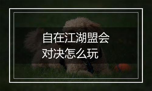 自在江湖盟会对决怎么玩