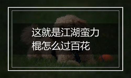 这就是江湖蛮力棍怎么过百花