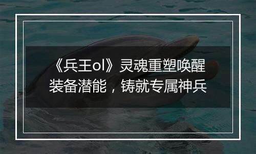 《兵王ol》灵魂重塑唤醒装备潜能，铸就专属神兵