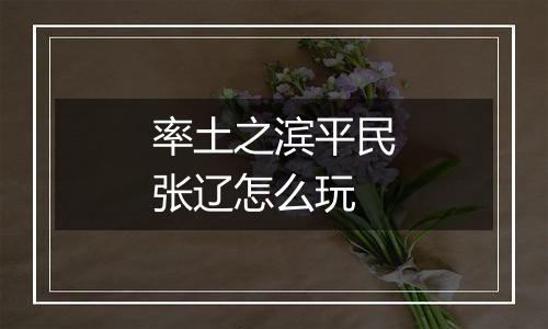 率土之滨平民张辽怎么玩