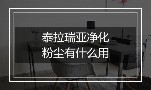 泰拉瑞亚净化粉尘有什么用