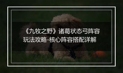 《九牧之野》诸葛状态弓阵容玩法攻略-核心阵容搭配详解