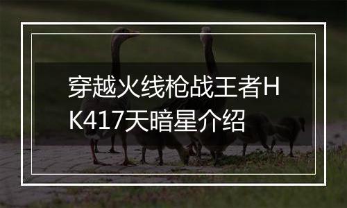 穿越火线枪战王者HK417天暗星介绍