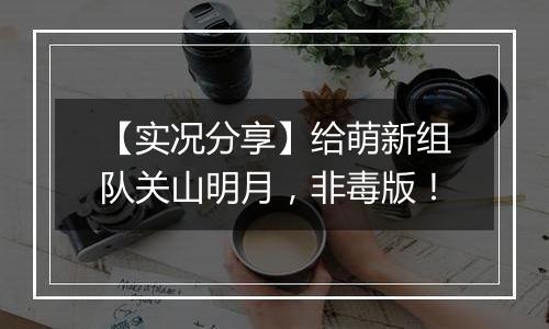 【实况分享】给萌新组队关山明月，非毒版！