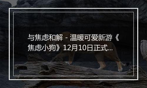 与焦虑和解 - 温暖可爱新游《焦虑小狗》12月10日正式上线Steam