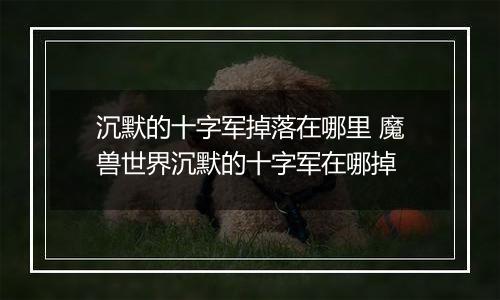 沉默的十字军掉落在哪里 魔兽世界沉默的十字军在哪掉