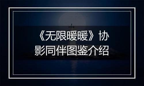 《无限暖暖》协影同伴图鉴介绍