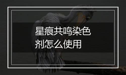 星痕共鸣染色剂怎么使用