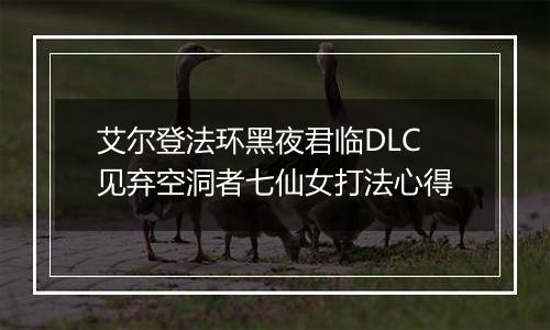 艾尔登法环黑夜君临DLC见弃空洞者七仙女打法心得