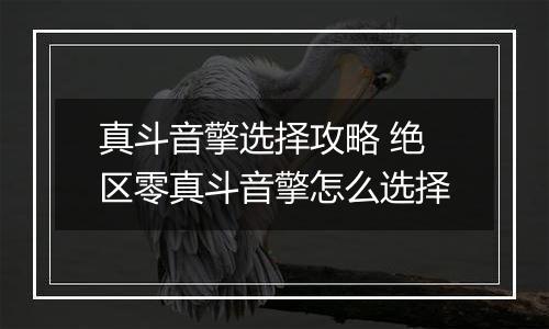 真斗音擎选择攻略 绝区零真斗音擎怎么选择