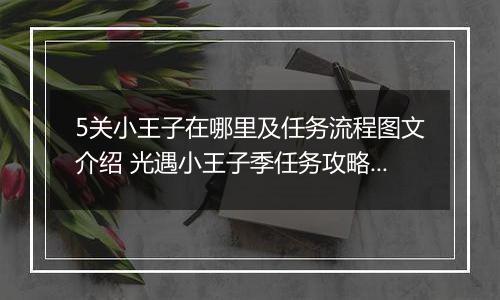5关小王子在哪里及任务流程图文介绍 光遇小王子季任务攻略汇总，1