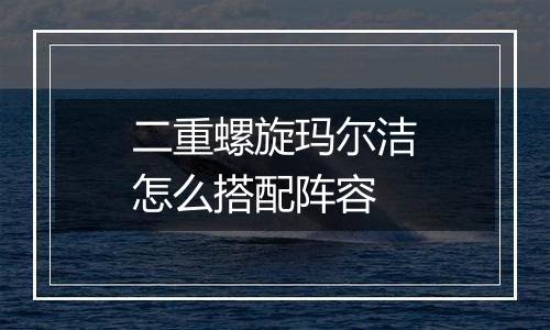 二重螺旋玛尔洁怎么搭配阵容