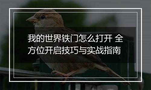 我的世界铁门怎么打开 全方位开启技巧与实战指南
