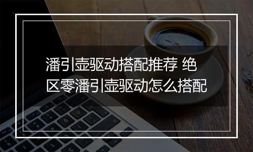 潘引壶驱动搭配推荐 绝区零潘引壶驱动怎么搭配
